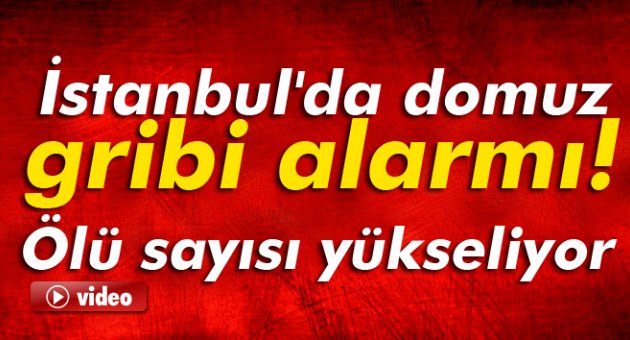 İstanbul'da domuz gribi alarmı! Ölü sayısı 3'e yükseldi