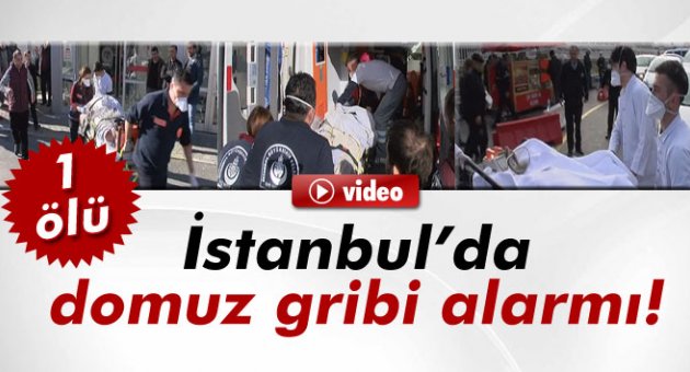 İstanbul'da domuz gribinden 1 kişi öldü