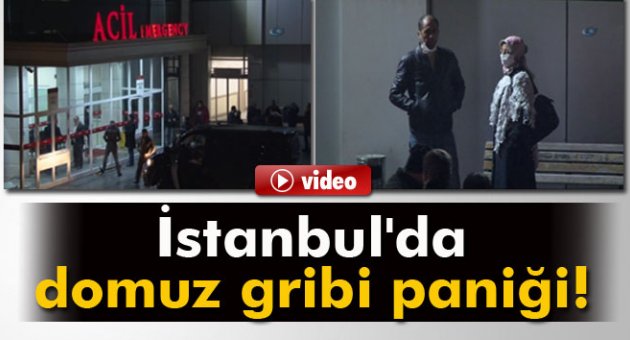 İstanbul'da domuz gribi paniği