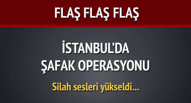 İstanbul'da terör örgütü operasyonu