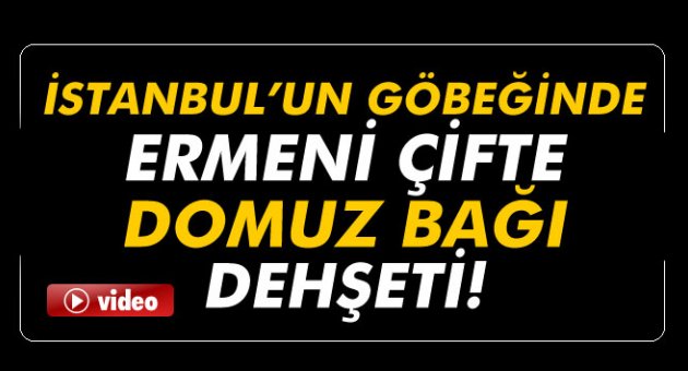 İstanbul'un göbeğinde Ermeni çifte ''domuz bağı'' vahşeti!