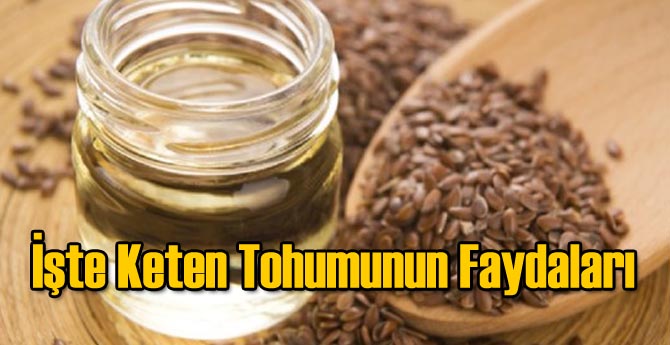 İşte Keten Tohumunun Faydaları