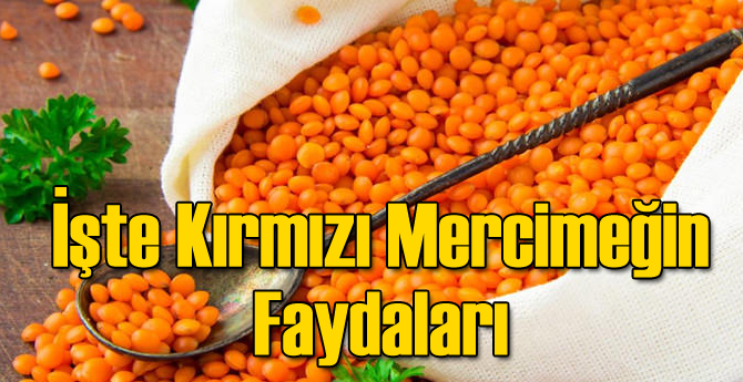 İşte Kırmızı Mercimeğin Faydaları!