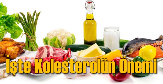 İşte Kolesterolün Önemi