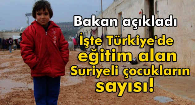 İşte Türkiye'de eğitim alan Suriyeli çocukların sayısı