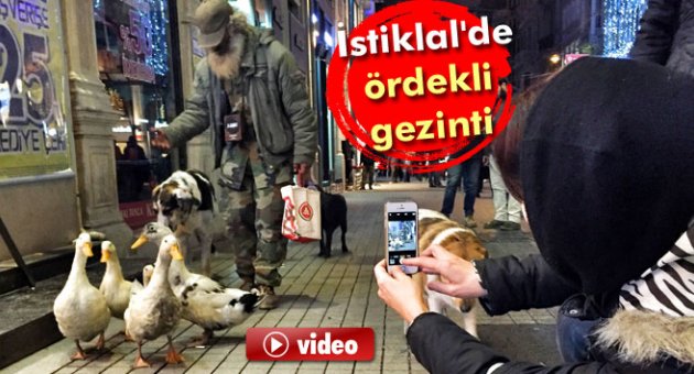 İstiklal&#039;de ördekli gezinti