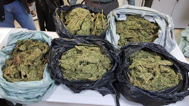 İş yerinden tam 11 kilo esrar çıktı!