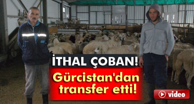 İTHAL ÇOBAN GETİRDİ.