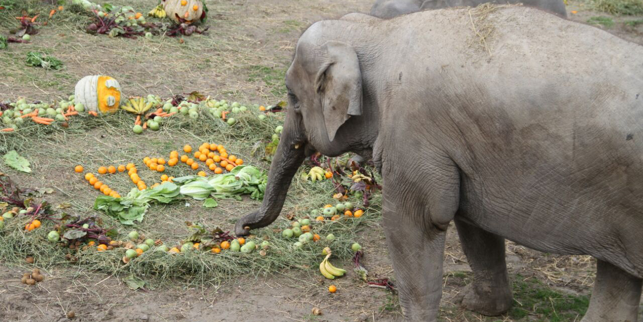 İyi ki doğdun İZMİR!