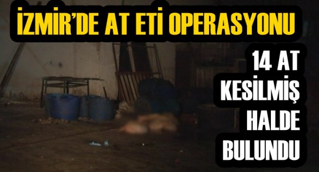 İZMİR’DE AT ETİ OPERASYONU: 14 AT KESİLMİŞ HALDE BULUNDU
