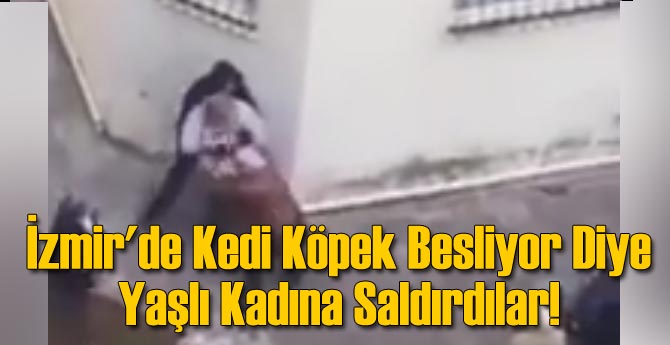 İzmir'de Kedi Köpek Besliyor Diye Yaşlı Kadına Saldırdılar!