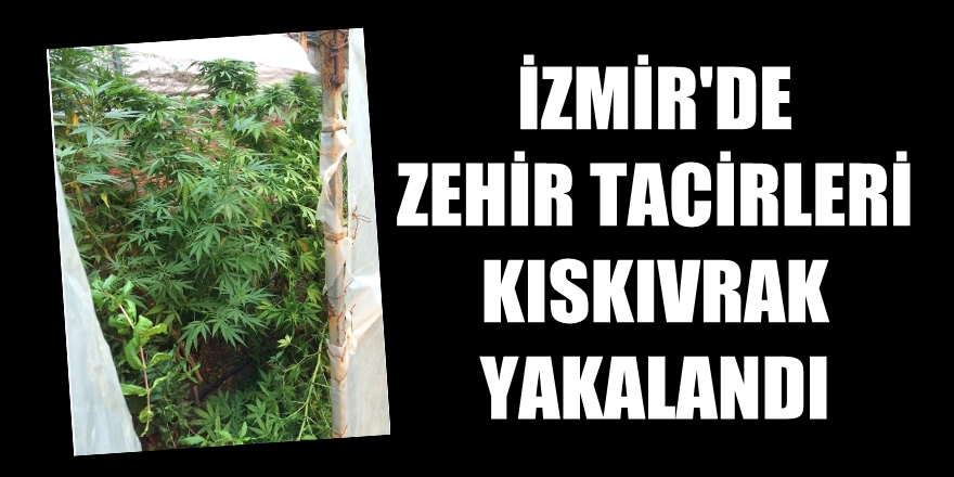 İzmir'de zehir tacirleri kıskıvrak yakalandı