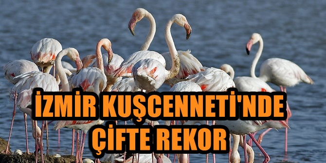 İZMİR KUŞCENNETİ'NDE ÇİFTE REKOR