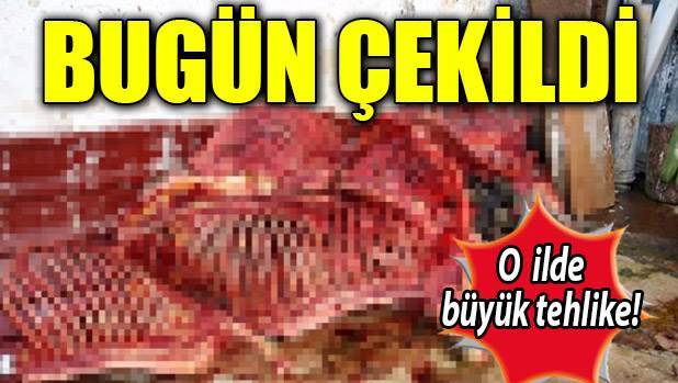İzmirliler dikkat! Kaçak at mezbahası basıldı
