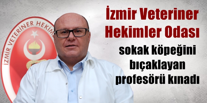 İzmir Veteriner Hekimler Odası, sokak köpeğini bıçaklayan profesörü kınadı