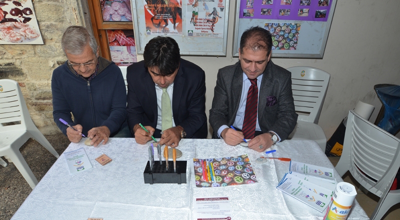 KADINA YÖNELİK ŞİDDETE KARŞI TAŞ BOYADILAR