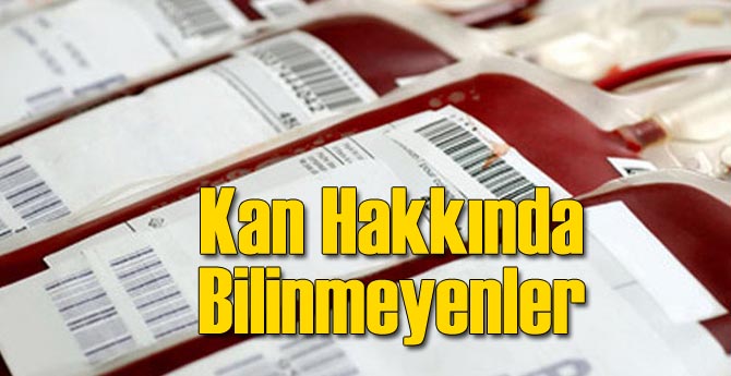 Kan ile İlgili Bilinmeyenler Bilgiler