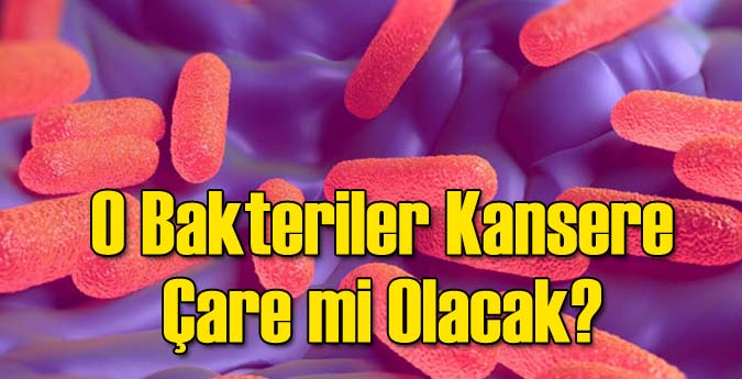 Kansere Çare O Mikroplarda mı?