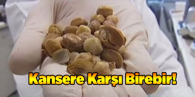 Kansere Karşı Birebir!