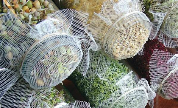 Kansere karşı reçete!