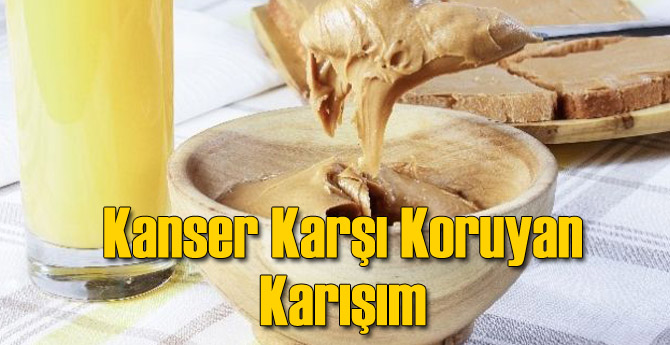 Kanser Karşı Koruyan Karışım