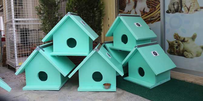 Karabağlar'da Can Dostların da Evi Var 