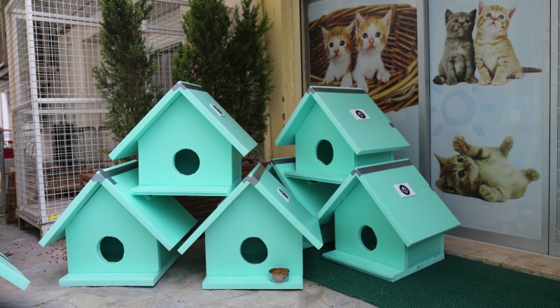 Karabağlar’da kediler için sıcak yuva