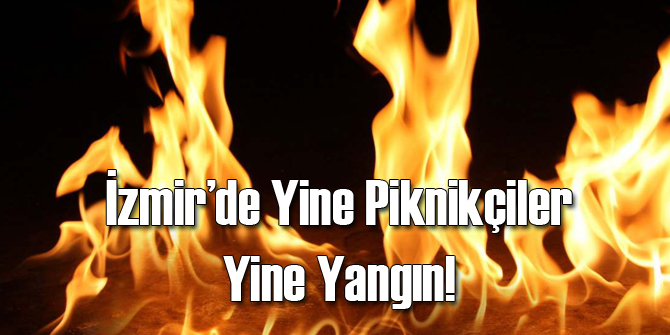 Karaburun'da Piknikçiler Ormanı Yaktı!