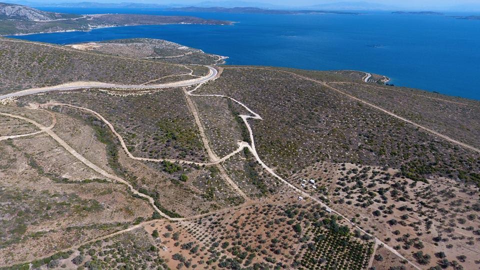KARABURUN YARIMADASI YEŞİLE UYANIYOR