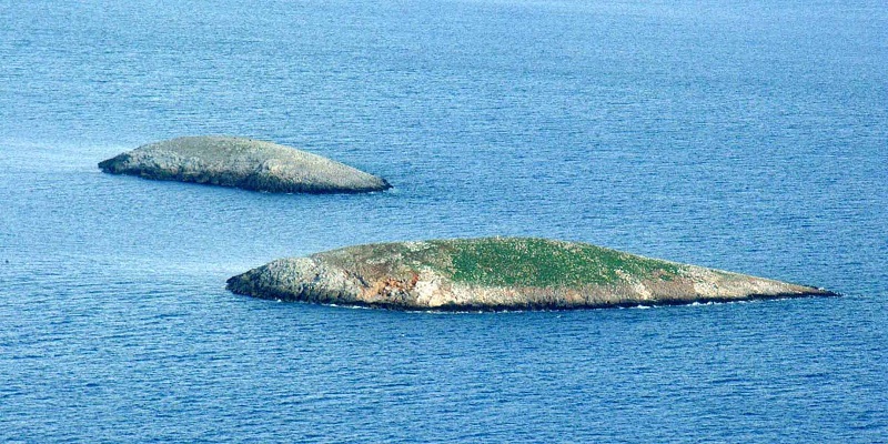 Kardak'ta sular durulmuyor... Yunan askerlerini kovaladılar