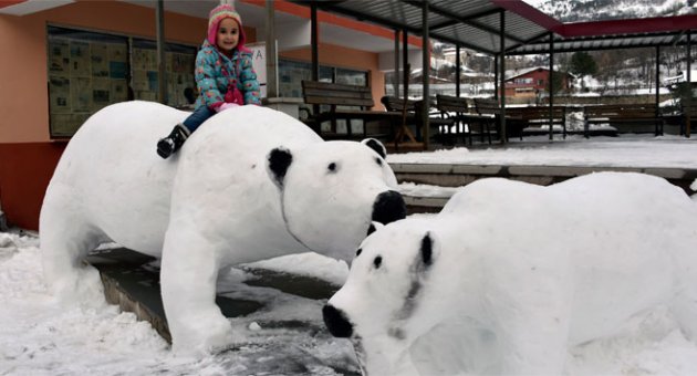 Kardan adam değil, kardan kutup ayısı
