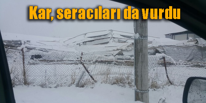 Kar yağışı seraları vurdu