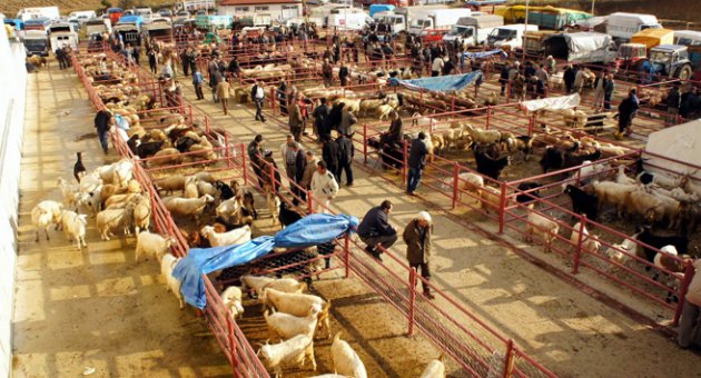 Kastamonu’da hayvan pazarları kapatıldı