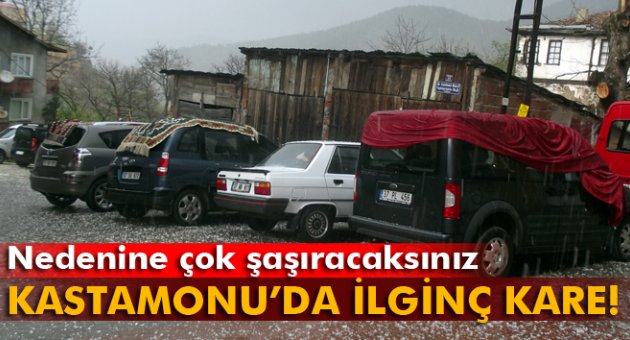 Kastomonu'da ilginç kare!