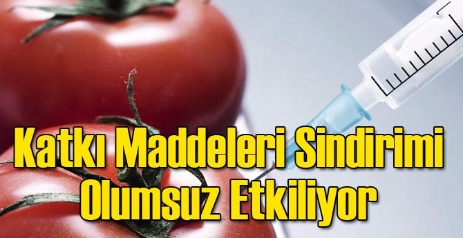 Katkı Maddeleri Sindirimi Olumsuz Etkiliyor