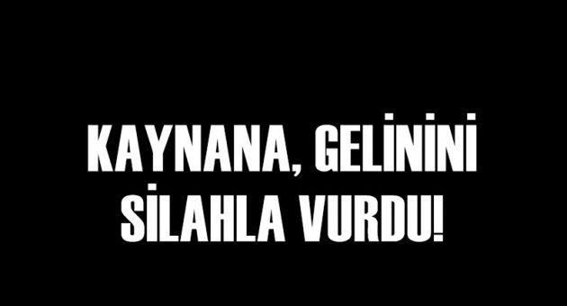 KAYNANA GELİNİNİ VURDU