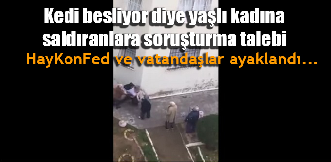 Kedi besliyor diye yaşlı kadına saldıranlara soruşturma talebi