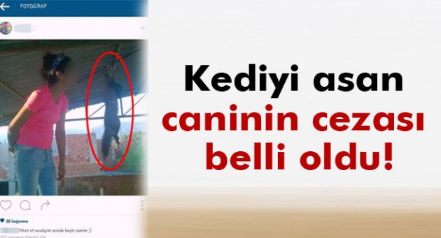 Kediyi asan kızın cezası belli oldu