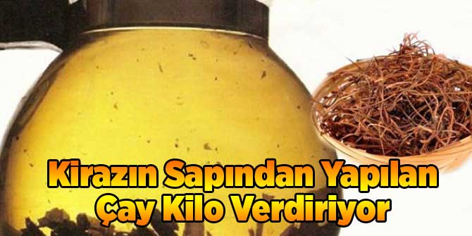 Kirazın Sapından Yapılan Çay Kilo Verdiriyor