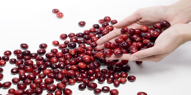 Kırmızı Hazine; Cranberry (Turna Yemişi)