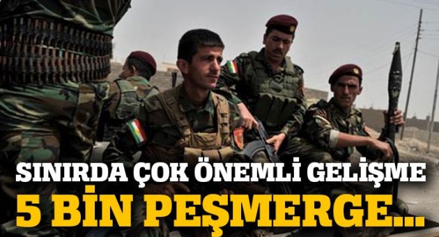 Koalisyon güçlerinden Peşmerge'ye eğitim