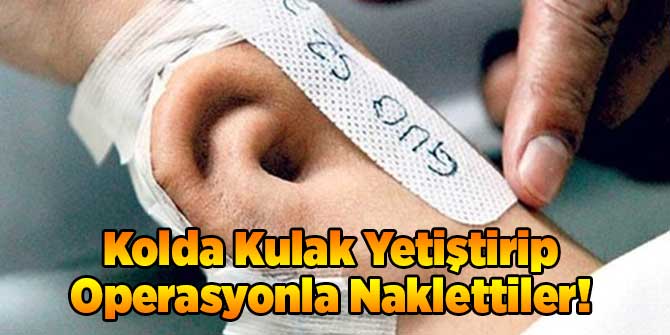 Kolda Kulak Yetiştirip Operasyonla Naklettiler!