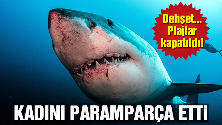 Köpekbalığı Yaşlı Kadını Paramparça Etti