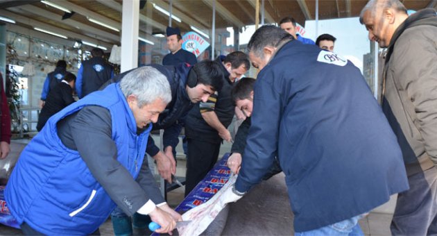 Köpek balıklarını kanser hastaları için dağıttı