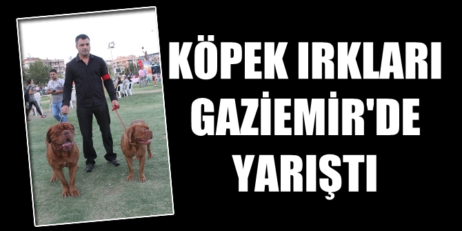 Köpek ırkları Gaziemir'de yarıştı