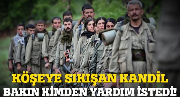 Köşeye sıkışan Kandil bakın kimden yardım istedi