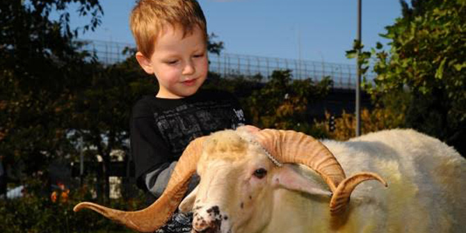Kurban Bayramı'nda Çocuklara Dikkat Edin