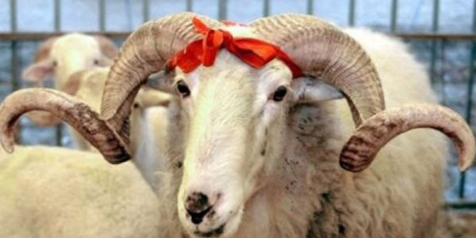 Kurban Bayramı Tatili Kaç Gün Olacak?