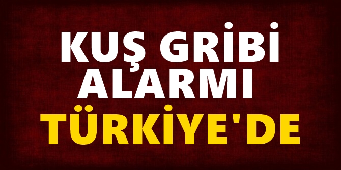 Kuş gribi alarmı Türkiye'de