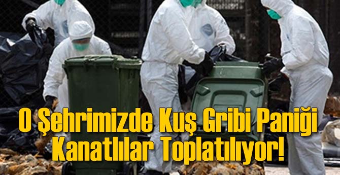 Kuş Gribi Paniği O Şehrimize Sıçradı
